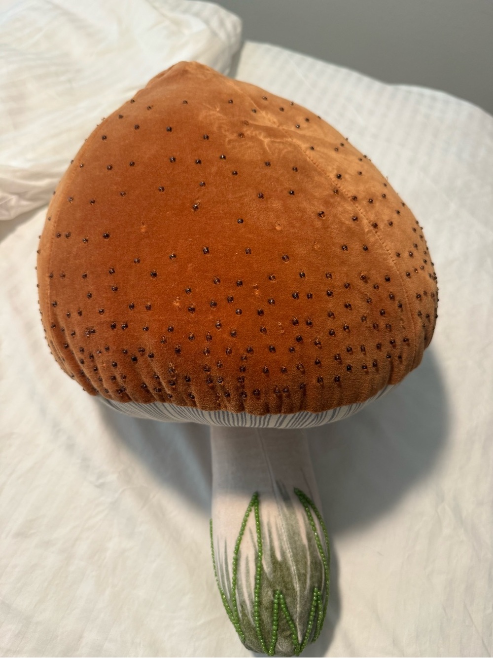 John Derian for Target Mushroom Pillow
🍄‍🟫